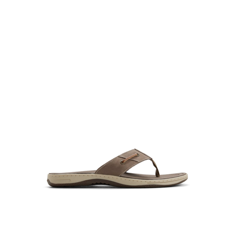 Baitfish Thong Sandal image 1